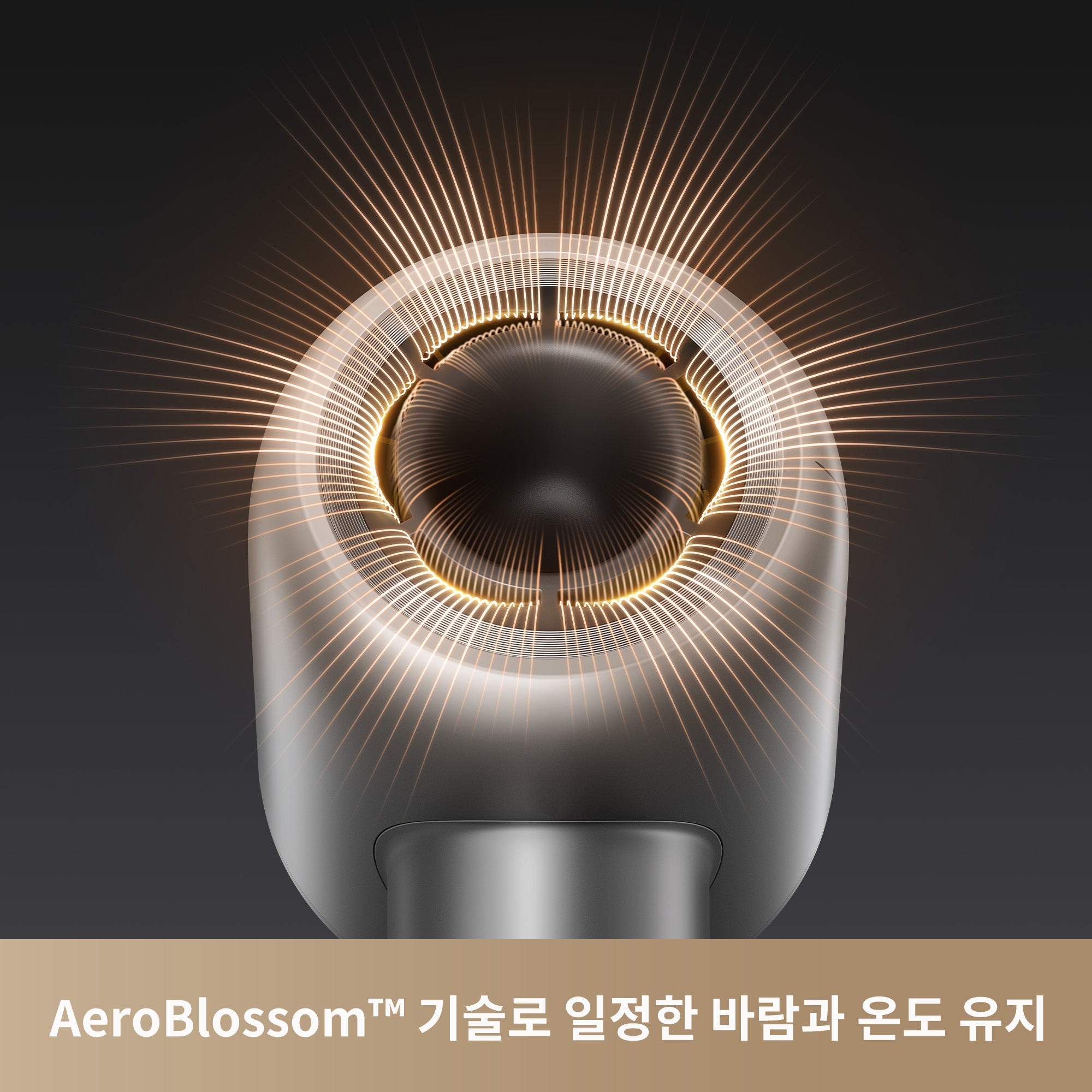 MOVA Shine 10 초고속 음이온 헤어드라이기